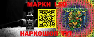 spice Будённовск