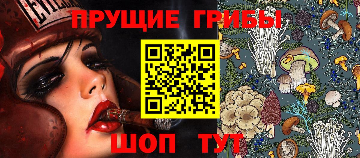 Псилоцибиновые грибы Psilocybine cubensis  наркошоп  Псилоцибиновые грибы MAGIC MUSHROOMS  Свободный  Вход с VPN 