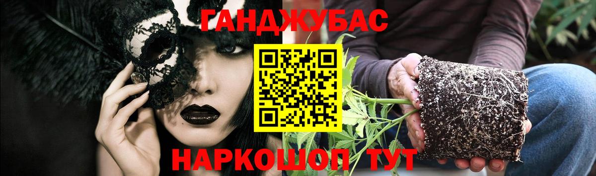 Бошки марихуана VHQ  Каннабис семена  Вход с VPN  Бошки марихуана THC 21%  Свободный 